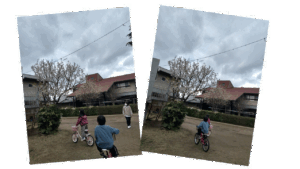 透過さくら園庭