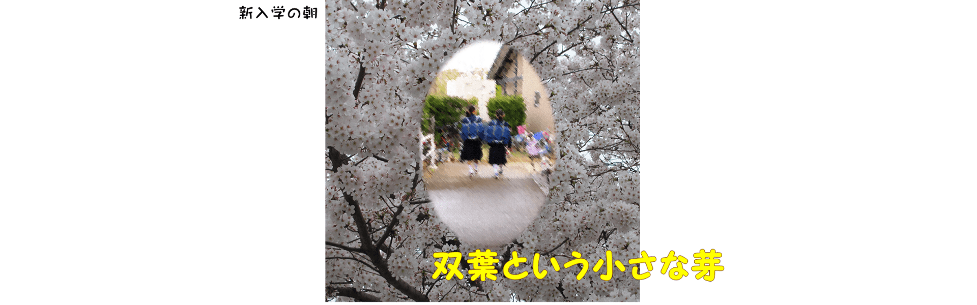 双葉という小さな芽